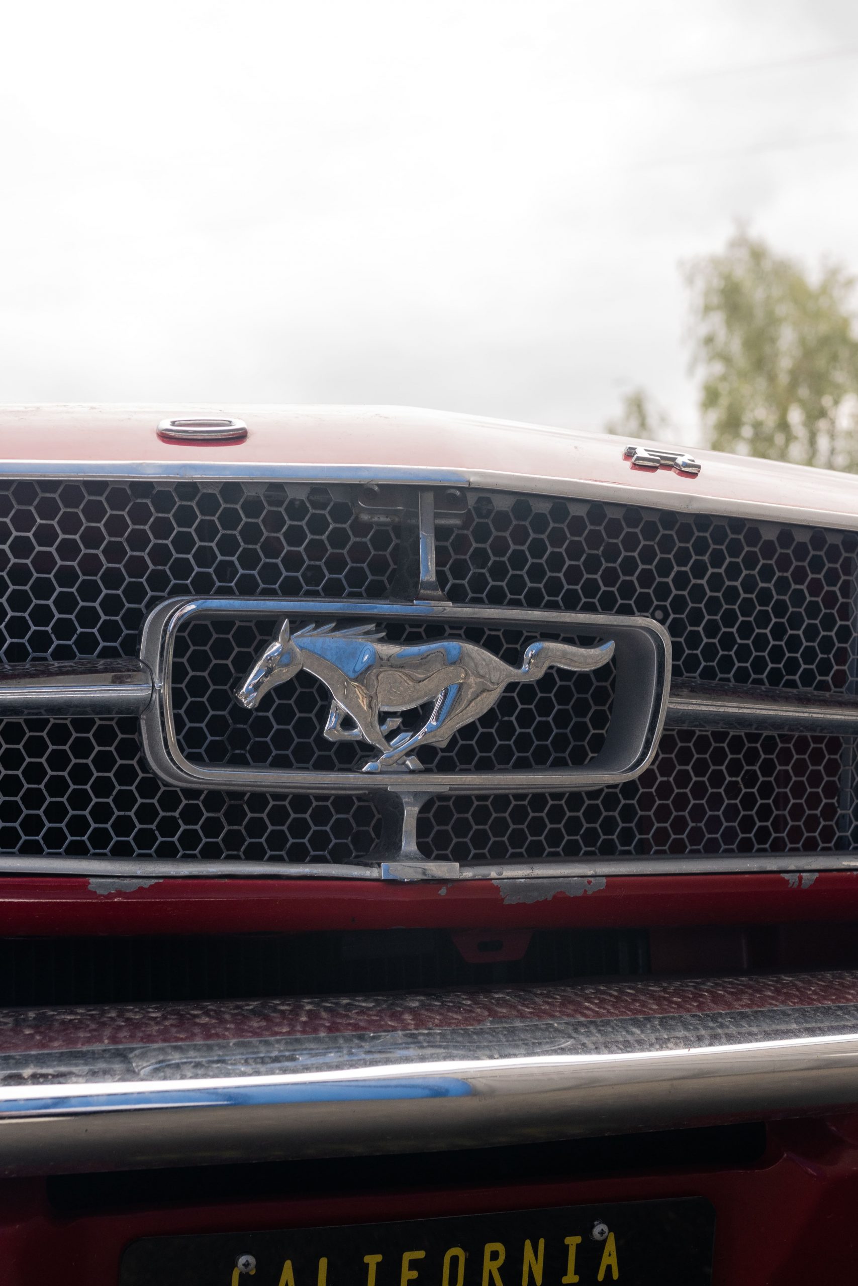 Ford Mustang 1965 early