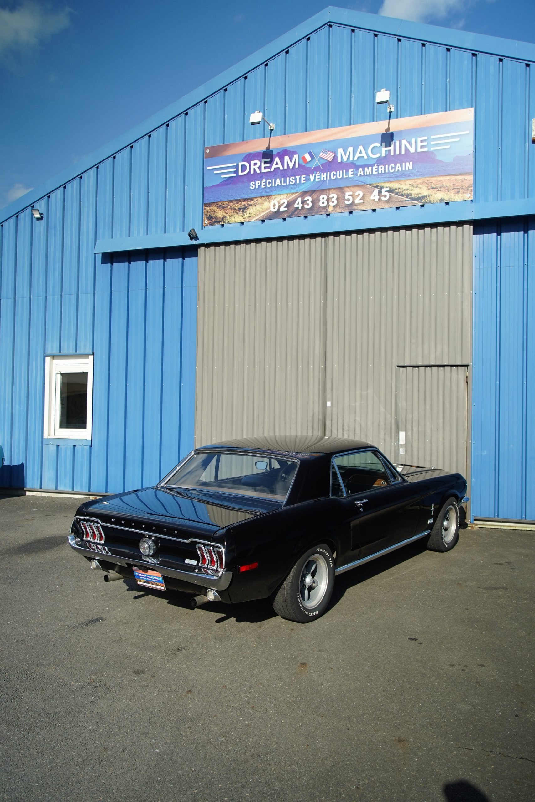 DSC00560